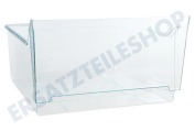 Liebherr 9290118 Kühlschrank Gemüseschale Transparent geeignet für u.a. CN505620A165, KGNv506625A162