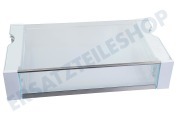 Liebherr Tiefkühltruhe 9882463 VarioSafe Schublade geeignet für u.a. alle ICB-, ICBN-, ICN-, IRB-, IRCB-Modelle