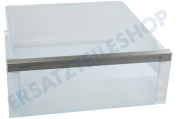 Liebherr 9796160 Gefrierschrank Gefrier-Schublade komplett geeignet für u.a. CNf5704-20A, CNd5224-20A, CNf5204-20A, Re5220-20A