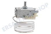 6151087 Eisschrank Thermostat K59-H2800-L2621 -31-19 + 5g geeignet für u.a. Kapillarrohr 950mm