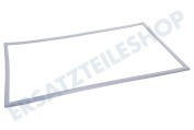 Hanseatic 481246668818 Gefrierschrank Dichtungsgummi 965x570mm -weiß- geeignet für u.a. ARC5451, ARC5520, KGA3401