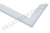 Indesit C00536456 Kühlschrank Dichtungsgummi Kühl/Gefrierkombination geeignet für u.a. LR9 S1Q FW