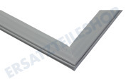 Indesit C00526613 Kühlschrank Türgummi geeignet für u.a. BSNF8452OX, W9821COX