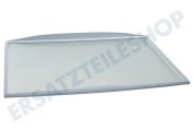 Whirlpool C00517595 Eisschrank Glasplatte komplett mit Rand, 460x310mm geeignet für u.a. WM1500, KRA1601, WBE2311