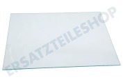 Bauknecht 481010603839 Kühlschrank Glasplatte 320x400mm geeignet für u.a. AFB9720A, BCB7030, INF901EAA