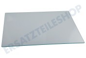 Indesit Tiefkühler 481010668655 Glasablage Gefrierschrank, Top geeignet für u.a. BSNF8762OX, KGNFI18A2WS