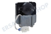 Hotpoint 481202858375 Kühlschrank Motor von ventilator geeignet für u.a. KSN540, WSE5530, WSF5521