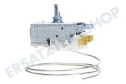 Philips/Whirlpool 481228238188 Kühlschrank Thermostat A13 0092K C046 ATEA geeignet für u.a. ARG970