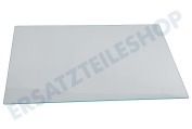 Pelgrim 563671 Tiefkühlschrank Glasplatte geeignet für u.a. PCS4178L, PCS3178L