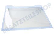Samsung DA6704253A DA67-04253A Kühlschrank Glasplatte R54000K geeignet für u.a. RS53K4400SA, RS53K4600SA