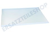 Samsung DA9713502D Kühlschrank DA97-13502D Glasplatte geeignet für u.a. RB29FEJNCSA, RB29FERNCSA, RL38T602CSA/EG