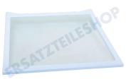 Samsung DA9716729A Eisschrank DA97-16729A Glasplatte, Mitte geeignet für u.a. RS4000K