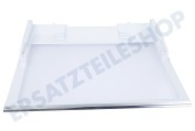 Samsung DA9716884A Tiefkühltruhe DA97-16884A Glasregal Gemüseschublade geeignet für u.a. RB38K7998S4
