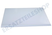 Samsung DA9721202A Eisschrank DA97-21202A Glasablage geeignet für u.a. RB38A6B62AP/UA