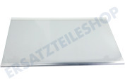 Samsung DA9713502G DA97-13502G Eisschrank Glasplatte Komplett, Kühlschrank, RL31/29 Best, Silber geeignet für u.a. RB29FEJNBSA, RB37J5349SL