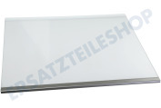 Samsung DA9716362K DA97-16362K Gefrierschrank Glasplatte komplett, Ablagefach geeignet für u.a. RH69B8921B1, RS68A8521S9, RS68A8832S9, RS68CG853ES9