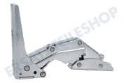 Zanussi 2211201039 Gefrierschrank Scharnier Metall, rechts unten/links oben geeignet für u.a. ZQF6114, ZUD9124A