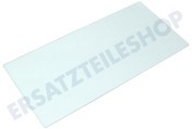 Castor 2060798077 Kühlschrank Glasplatte 23x47,1cm