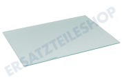 Castor 2249047057 Kühlschrank Glasplatte 475 x 370 geeignet für u.a. ZI7195