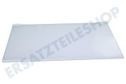 Zanussi 2109403036 Kühlschrank Glasplatte komplett geeignet für u.a. ZRA40100WA, KS4021X
