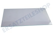 Progress 2249020047 Kühlschrank Glasplatte geeignet für u.a. ZBB24430SA, SCS51400S1