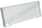 Castor 50206212008 Kühlschrank Gefrierfachklappe Gefrierschrank Abdeckung weiß geeignet für u.a. Z9140, CM1640, M141