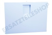 Dometic 241219595 Eiskast Gefrierfach Tür geeignet für u.a. RML8230