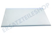 Glasplatte für Kühlschrank Gefrierschrank AHT74413810 LG 