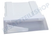 LG ACQ88632101 Tiefkühlschrank Glasplatte Abdeckung über der Gefrierfachlade geeignet für u.a. GCB247SLUZ, GCX247CLBZ