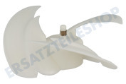 Lüfterrad des Ventilator
