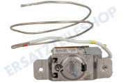 Inventum 30301000057 Tiefkühler Thermostat geeignet für u.a. KV1770W, KV1800S