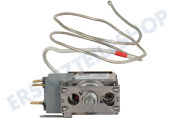 Inventum 30301000417 Tiefkühler Thermostat geeignet für u.a. KK055R, RKK551B