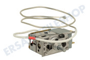 Inventum 30301000048 Eisschrank Thermostat geeignet für u.a. KK500, CKV501