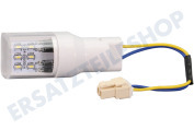 Inventum 30301000049 Gefrierschrank LED-Lampe geeignet für u.a. KK500, EDKV142ZA