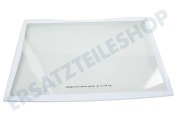 Haier 49053659 Kühlschrank 0060810246 Glasplatte geeignet für u.a. AFD631GBBB03W1E82