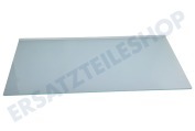 Haier 49054658 Tiefkühler 0060305288 Glasplatte geeignet für u.a. B3FE742CMJBB09Y4E1Q