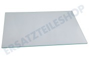 Haier 49054507 0071400157 Eisschrank Glasplatte Glasplatte geeignet für u.a. H2F220WSAA, H2F255WSAA