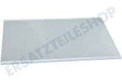 Gorenje HK1995850  Glasplatte Vollständig geeignet für u.a. RK4181PS4, R4142PW, R4142PS