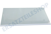 Hisense HK2003406 Kühlschrank Glasplatte Vollständig geeignet für u.a. R4142PW, R4142PS