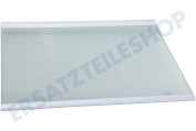 Hisense HK1877700 Kühlschrank Glasplatte Vollständig geeignet für u.a. RS694N4TFE, RS741N4WC11