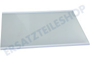 Hisense HK2038062 Eisschrank Glasplatte komplett geeignet für u.a. RS677N4BIE, RS677N4AWF, NRS918EMX