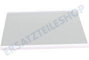 Hisense HK2004348 Kühlschrank Glasplatte geeignet für u.a. RS560N4AD1, NRS8182KX
