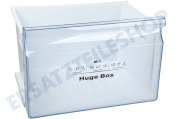 Hisense HK1546118 Tiefkühler Gefrier-Schublade Mitte, "Huge Box" geeignet für u.a. FV306N4AW1, FV306N4CW2