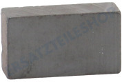 Hisense HK1467280 Eisschrank Magnet geeignet für u.a. EN6086JOX, NRM8181UX