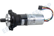 Motor Antriebsmotor