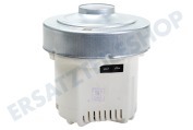 Electrolux 140075168025 Staubsauger Motor 650 Watt geeignet für u.a. ESP73IW, LX82WRP, ESP72DB