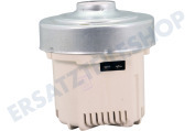 Electrolux 140075168041 Staubsauger Motor geeignet für u.a. VX82-1-2MG, PD82-4MG