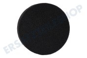 Black & Decker N639863 Staubsauger Filter geeignet für u.a. WDC215WA, WDC115WA