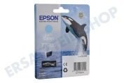 Epson C13T76054010 Epson-Drucker Druckerpatrone T7605 Light Cyan/Lichtblau geeignet für u.a. SureColor SC-PC600