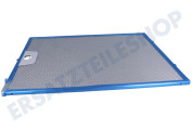 Neff 11041967 Abzugshaube Filter Metallfilter geeignet für u.a. DHU662BQ, LU63LCC20